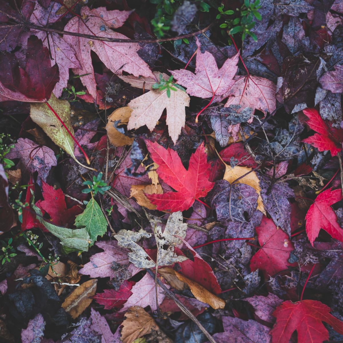 8 Tips for Easing Seasonal&nbsp;Depression