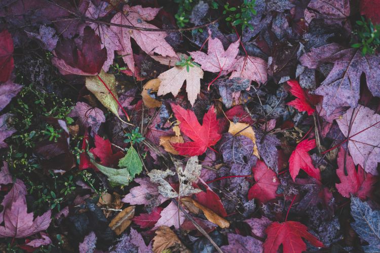 8 Tips for Easing Seasonal&nbsp;Depression