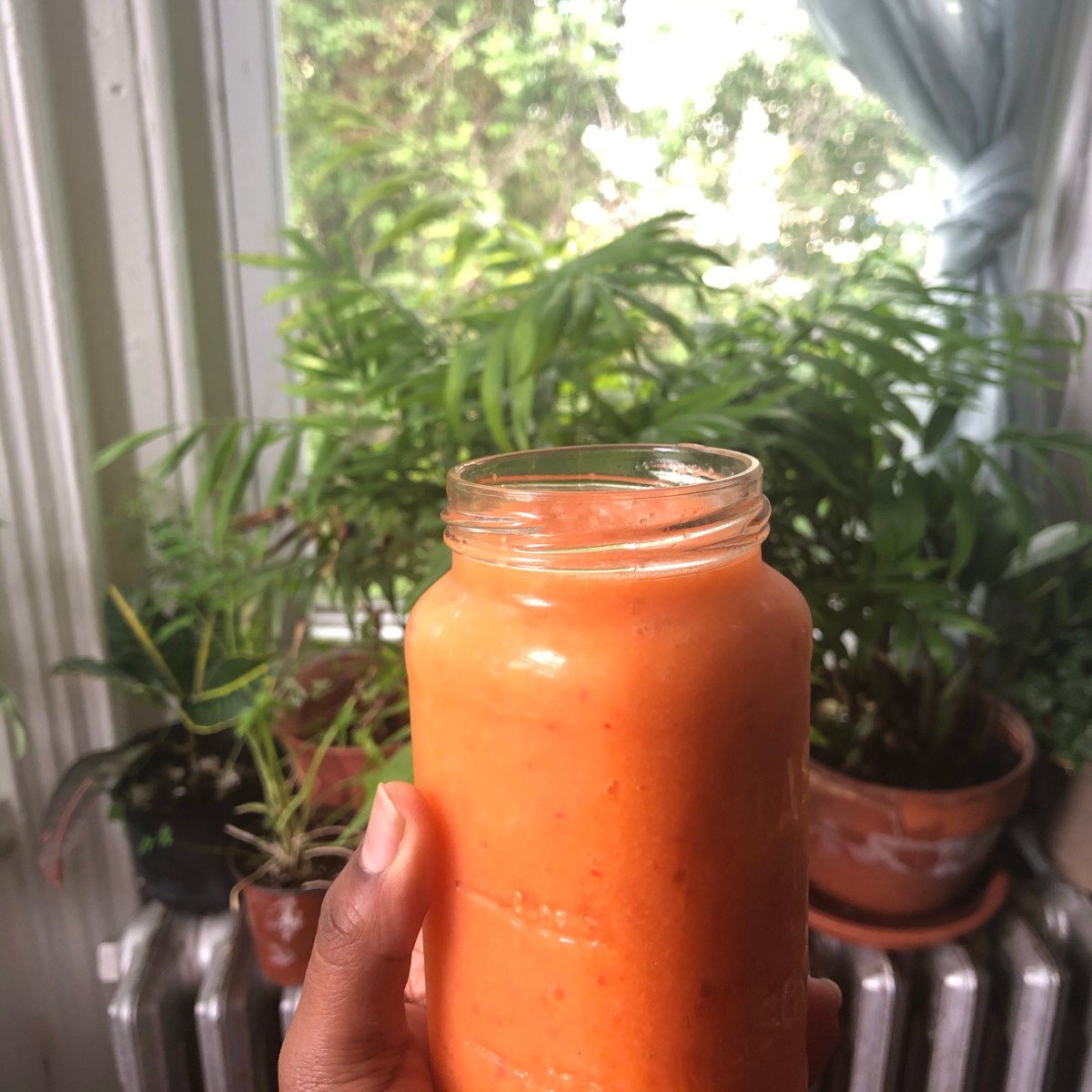 Morning Cleanse and Immune&nbsp;Booster