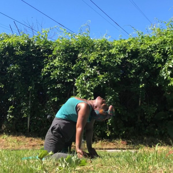 Garden Log #4 – Energy to Soak In (Through Yoga and&nbsp;Meditation)