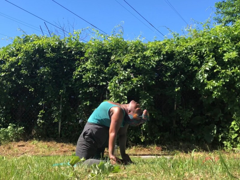 Garden Log #4 – Energy to Soak In (Through Yoga and&nbsp;Meditation)