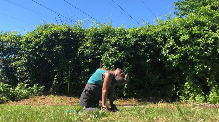 Garden Log #4 – Energy to Soak In (Through Yoga and&nbsp;Meditation)