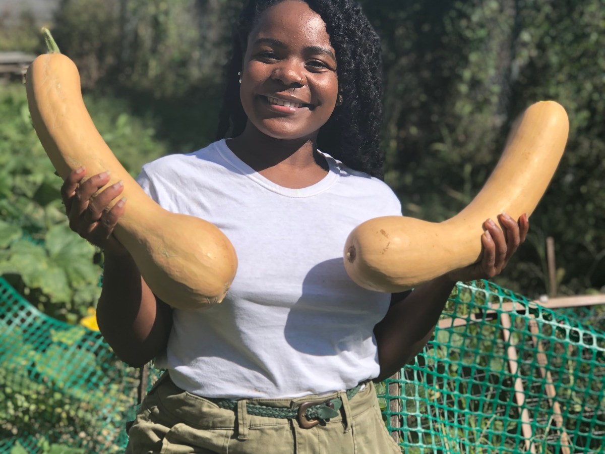 Manifest Your Vision with the Harvest Moon and this&nbsp;Playlist!